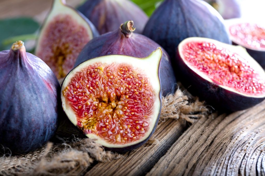 Fig tree in the bible - symbolism, meaning and prohpecy