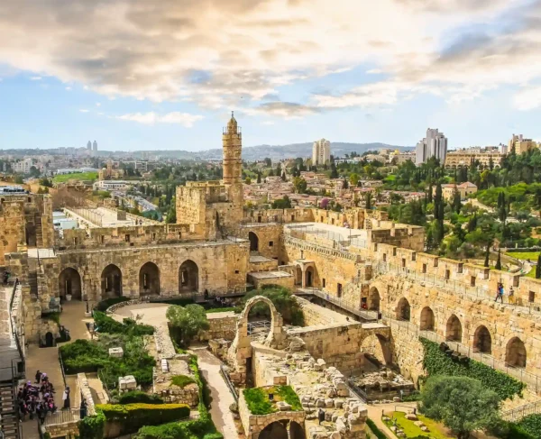 ONE FOR ISRAEL Land of Israel Study Tour | Nov 2025